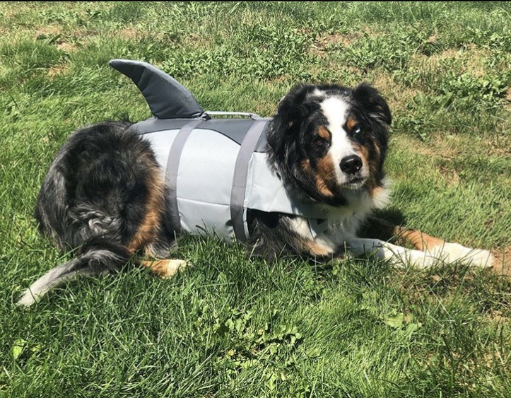 Brad Green tweet media