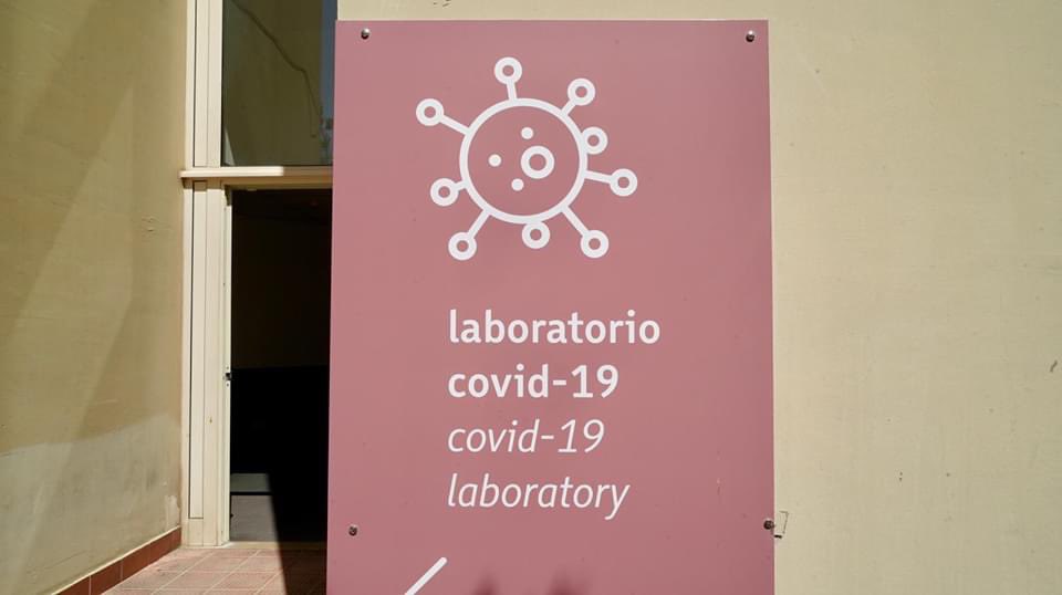 Lucio Lonoce tweet media