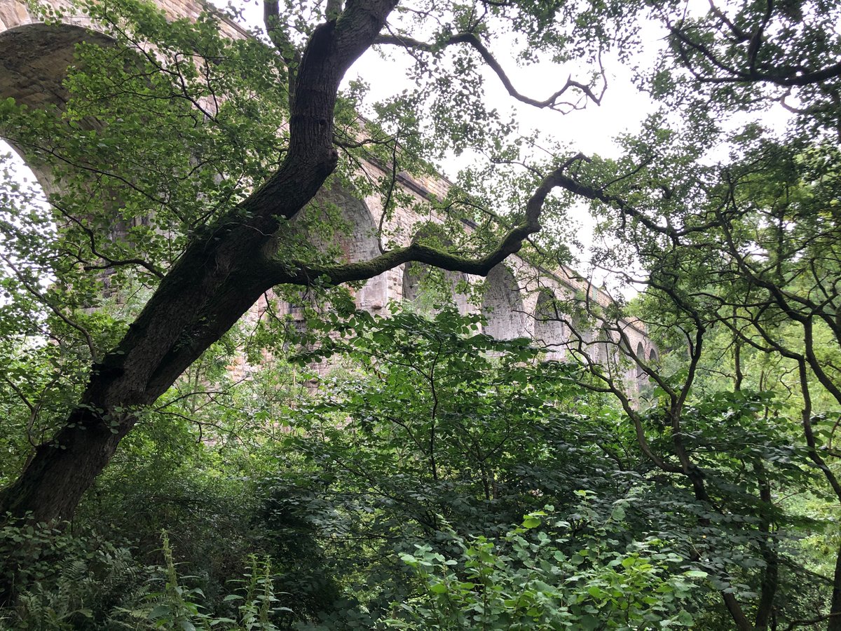 cathrynjbrown's tweet photo. Out for a walk last night, after a day of #teamlocum - viaduct for my railway/engineering nerd followers ❤️ #weactivechallenge #pharmacyactive https://t.co/KkjOgsOuPt