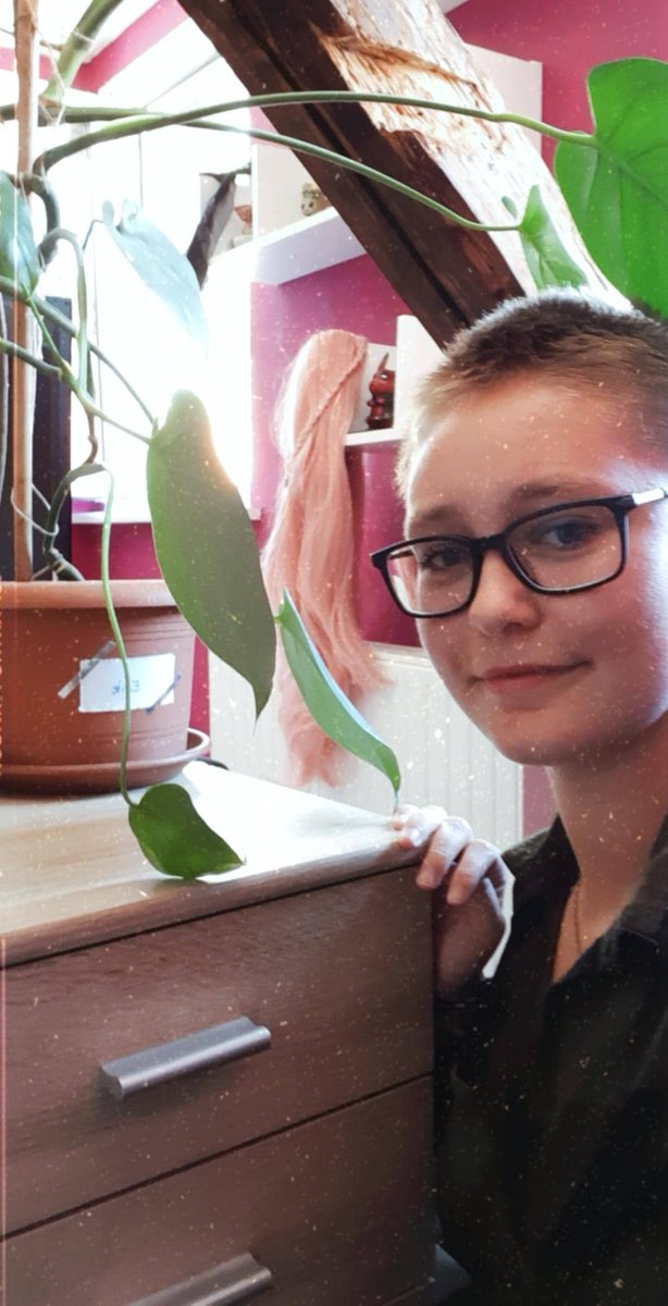 CaroHasenberg's tweet photo. Das sind Erik und Tati🌱 
Als Pflanzenmutti muss man den Kindern ja auch Namen geben😁

Tati: ca. 2,5 Jahre alt, blüht gerade wunderschön und entwickelt sich prächtig🌺
Erik: Alter unbekannt, aus Verwahrlosung gerettet, entwickelt sich prächtig🌿
@Gronkh @xPandorya https://t.co/buQGg2k3Vk