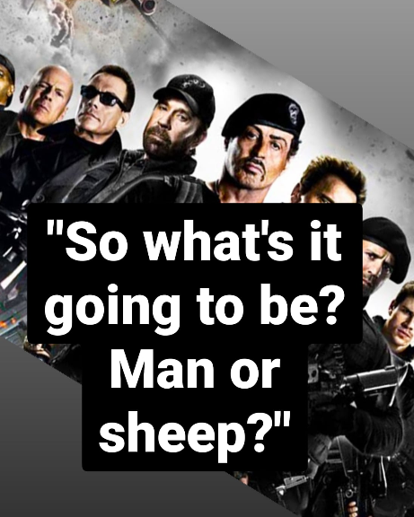 SlashDupe's tweet photo. Let us never forget this amazing shit quote, taken out of context for your pleasure. Although we love an action movie, is The Expendables Franchise too much? Or not nearly enough?
.
.
.
#shitquote #theexpendables #pitchplease #crazypitchasians #SlashDupe #TXC #podcast #manorsheep https://t.co/ne5uTKcyZj