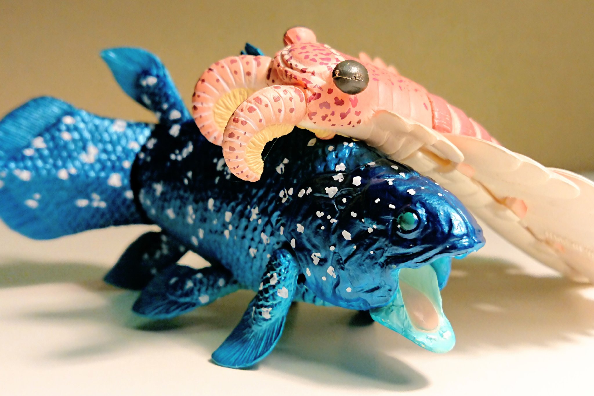 うえひろ ガチャガチャ 大むかしの海 からアノマロカリスとシーラカンスをget 可動部分が豊富で何より迫力があってカッコいい 何故テーマが大昔の生物なのに現生種のシーラカンスが と思ってしまうがそこを気にしてはいけない T Co