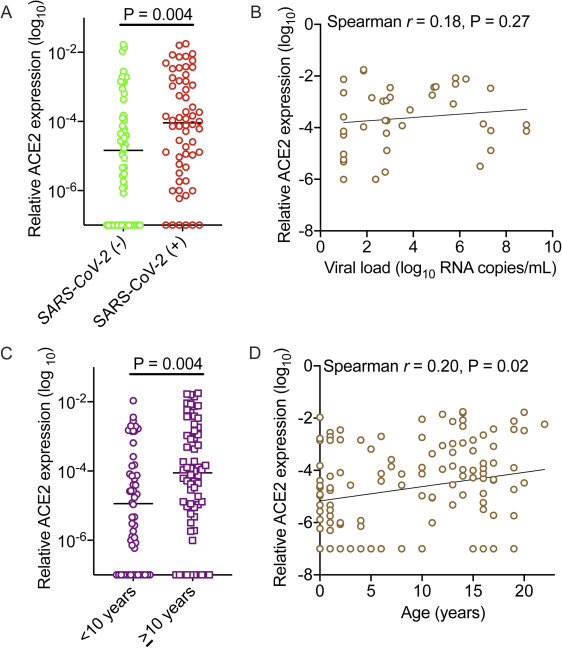 (2/14) ACE2 gene expression was examined in all children, and was higher in children who tested positive for  #SARSCoV2 and those with MIS-C, than in children who tested negative.However, ACE2 expression did not correlate with viral load.