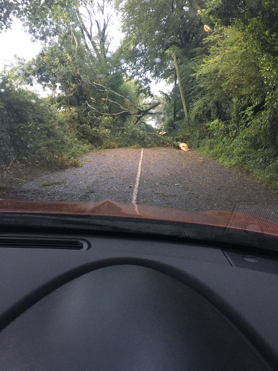 4ormdotie's tweet photo. Be safe out there folks!!
This is what greeted one of our team on the back road from Donnybrook to Carrigaline this morning...
#StormEllen #Cork https://t.co/ZWl1AxCFMa