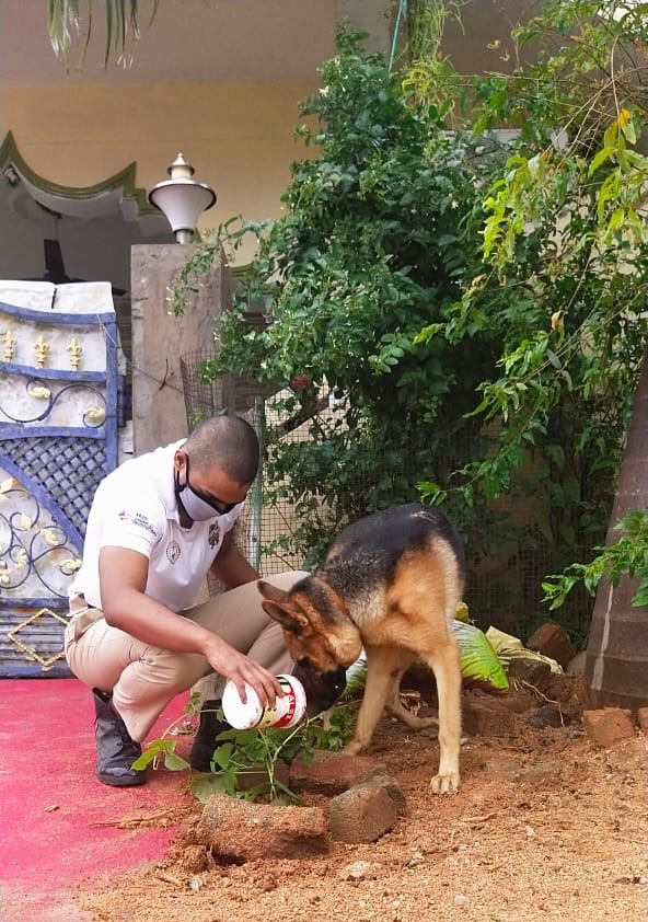 Rhinoc0y's tweet image. Supporting #projectgreenchallenge by me and My friend Aggie on command of
Badruka College,
30/5 COY, 5(T) BN NCC, HYD GROUP, 
AP &amp;amp; T DTE.