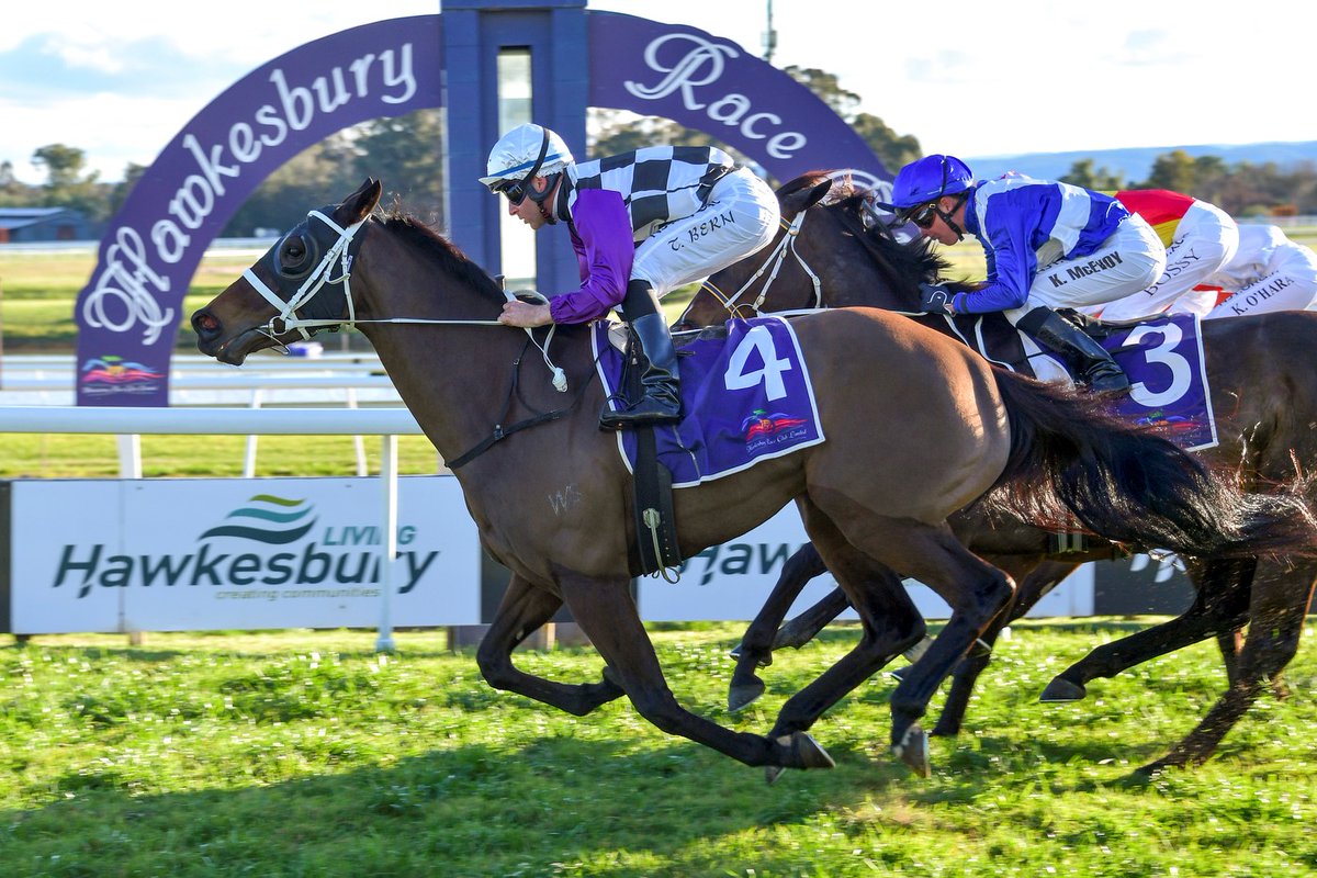 hawkesburyrc's tweet photo. π#SAVACOOL storms home late to win the 2020 PIONEER SERVICES LISTED ROWLEY MILE @hawkesburyraces under @TommyBerry21!
Congratulations to @cwallerracing who both owns and trains the black type mare by #Savabeel π»π₯ https://t.co/JC2NlZVmzA