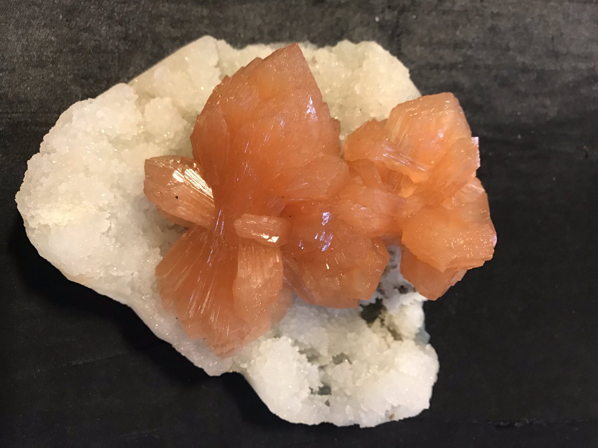 Kiran78092618's tweet photo. Incredible India 🇮🇳 #Earth #Gargoti Mineral Museum #Gology #Heeling #Eneragy #Amazing #Quartz #Gemstone #Gemtree #Homedecor #Nashik #Pune #Mumabai #Maharashtra #D-59 Malegaon Midc Sinnar #@Gargoti @nashik_feed @bhurtya https://t.co/ovrHGv4jvH