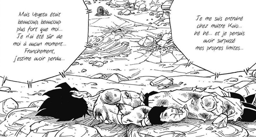 Pour vegeta j'ai meme pas besoin d'argumenté