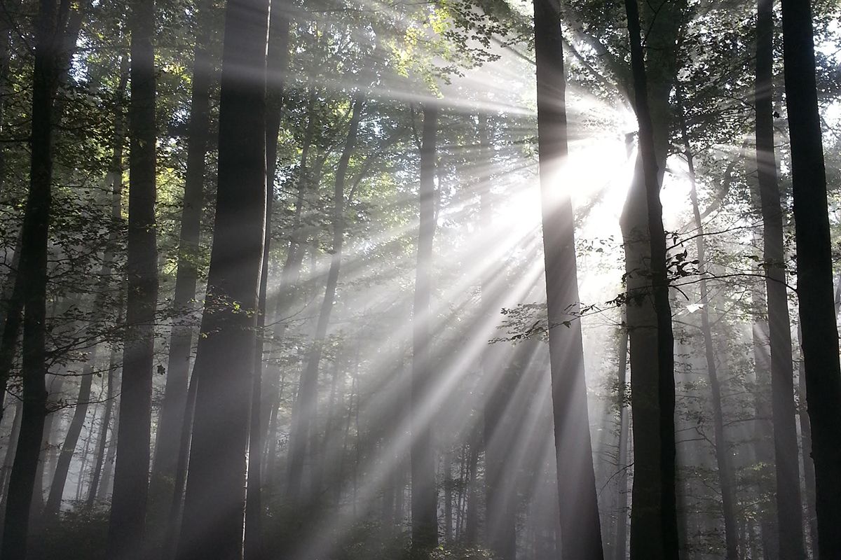 Mit Stolz lancieren wir heute eines der ambitiösesten #Foerderprogramme: die #Klimapraemie für #Holzheizungen. bit.ly/2CL0Y0C