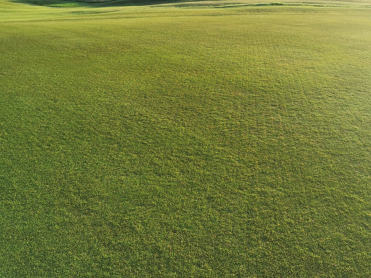 Greens maintenance week @nottsgolfclub Double pass with 10mm tines (pro-core) overseed with fescue, disc seed bent and topdress with fen. 15mm of rain overnight, remove dew this morning, dry cut, no boxes. Thank you for your patience.