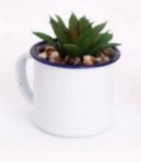 ThePerfectTouc4's tweet photo. ๐ก๐ก Daily Spotlight Product ๐ก๐ก
CACTUS IN A CUP
https://t.co/XF4ulVjvNv
#spotlight #smallbusiness #mibintofficial #mumsinbusiness #homedecor #homeinspiration https://t.co/WZSAFoF0bc