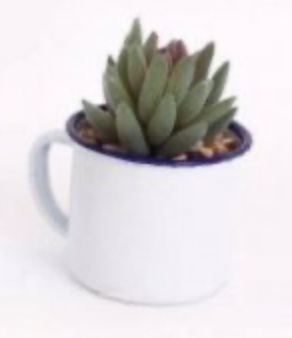 ThePerfectTouc4's tweet photo. ๐ก๐ก Daily Spotlight Product ๐ก๐ก
CACTUS IN A CUP
https://t.co/XF4ulVjvNv
#spotlight #smallbusiness #mibintofficial #mumsinbusiness #homedecor #homeinspiration https://t.co/WZSAFoF0bc