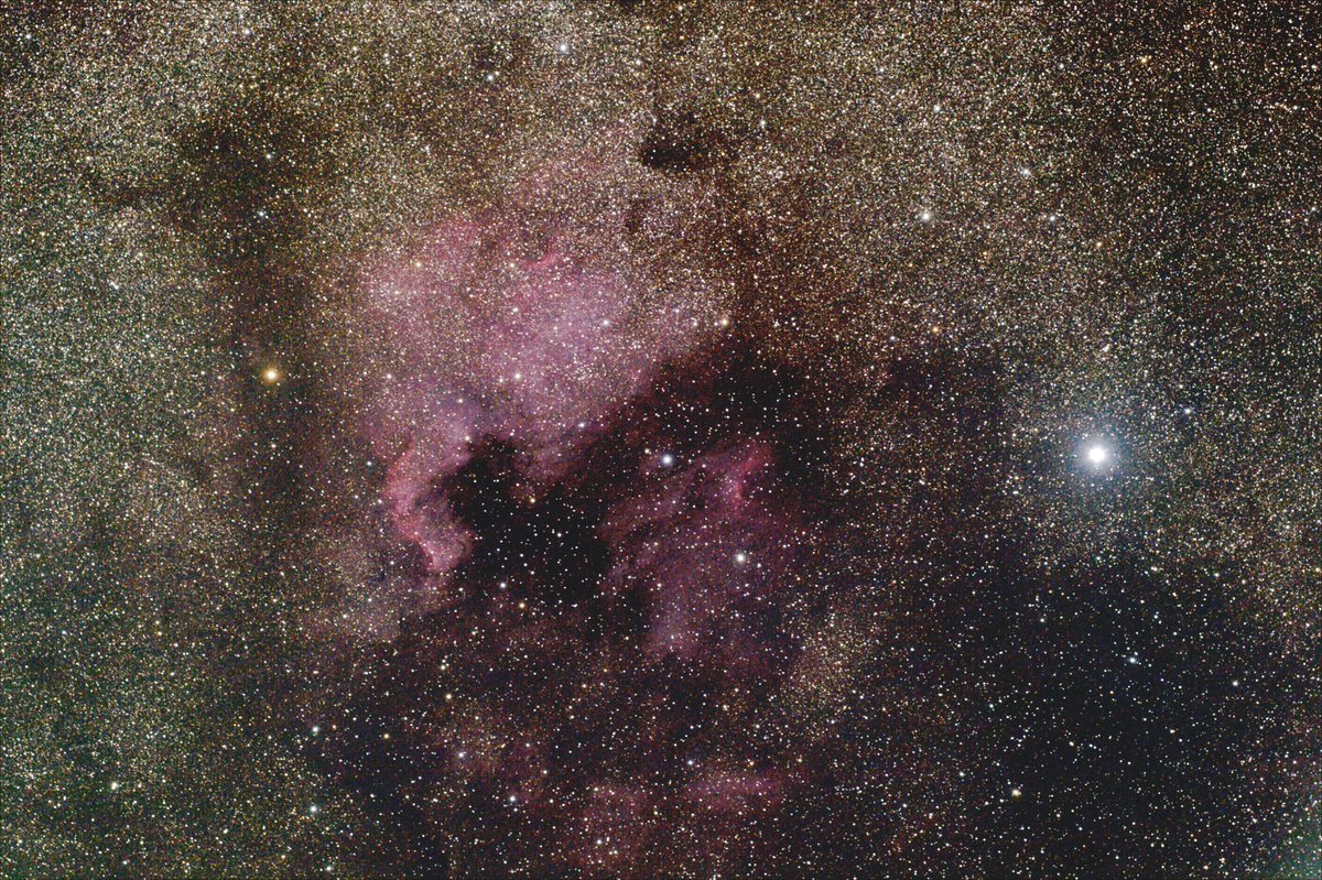 snct_planeta's tweet photo. 昨晩撮影した北アメリカ星雲です。
北アメリカ大陸のような形が分かりますね!右の星は、はくちょう座デネブです。
BORG71FL+0.72レデューサーにフルサイズ(NikonD700)で撮影。
追尾はAP赤道儀です。
#BORG
#71FL
@tomytec_borg https://t.co/lhDJ9OV20j