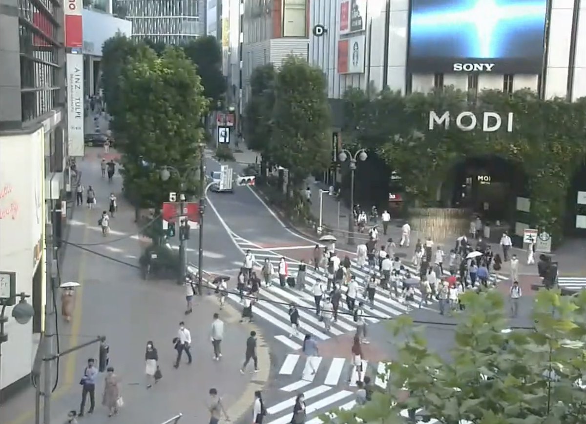 渋谷 定点 カメラ