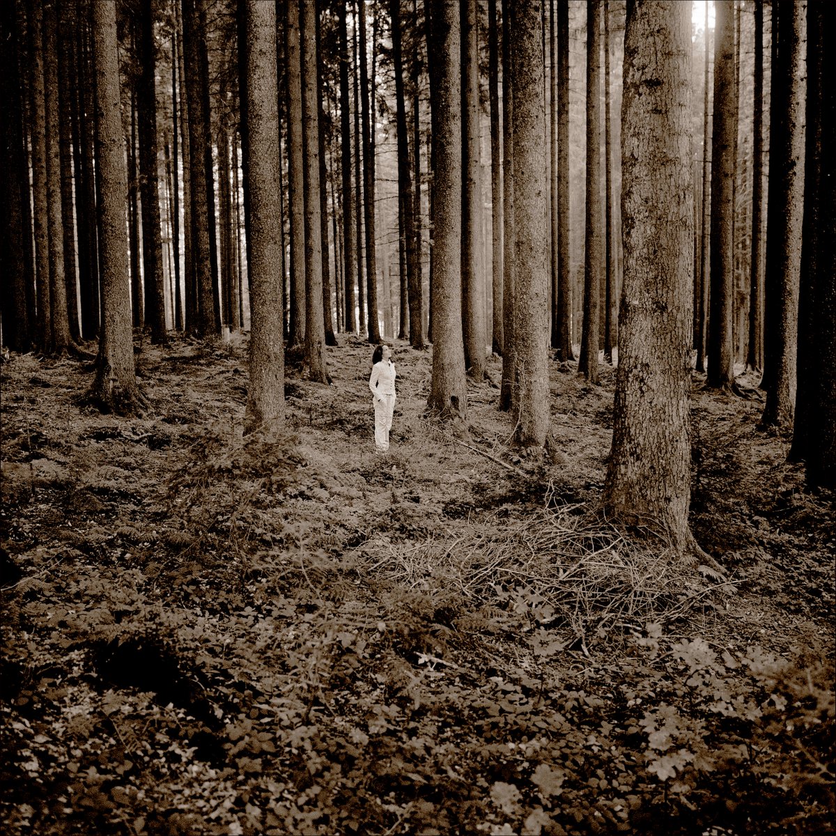 Thrilled to share with you all a very special project that’s been in the making since the start of the year. Tomorrow will be the announcement for the pre-sale of my new album ‘The Messenger’ featuring <a href="/CamerataSBG/">Camerata Salzburg</a>.
Photo: MAT HENNEK