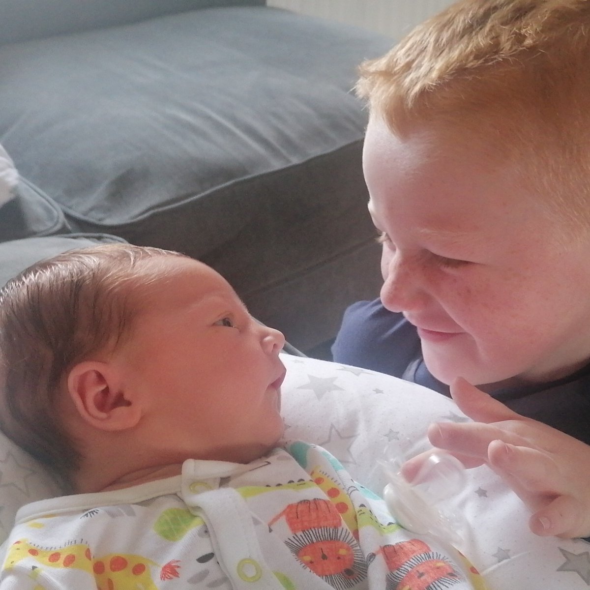 David Graham tweet media