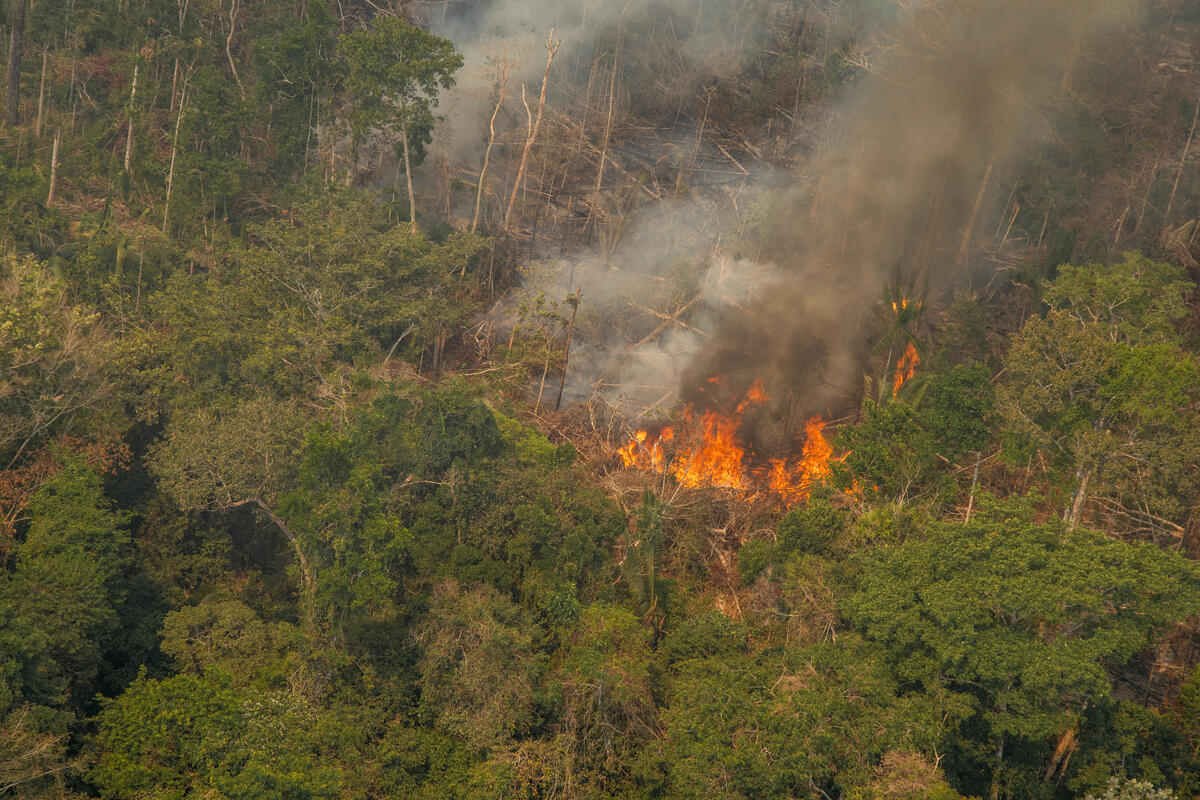 Ces incendies sont-ils naturels ? 
#Amazonie #JeudiPhoto