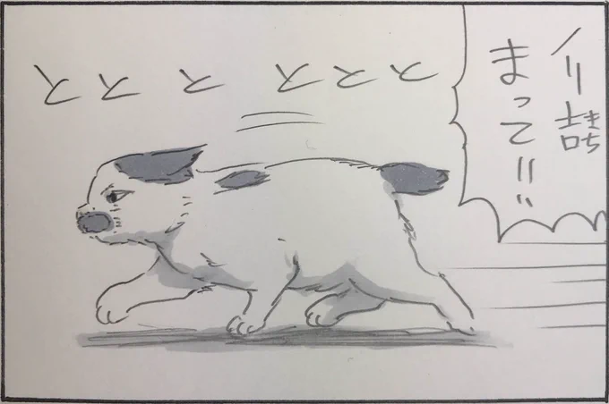 『なんかついてる』 