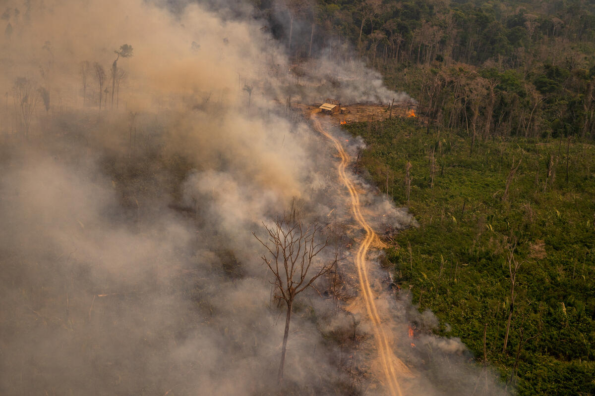 D’Amérique du Sud. L’industrialisation de notre élevage, la surproduction et la surconsommation de viande et de produits laitiers exercent une pression terrible sur les écosystèmes sud-américains.
#Amazonie #JeudiPhoto