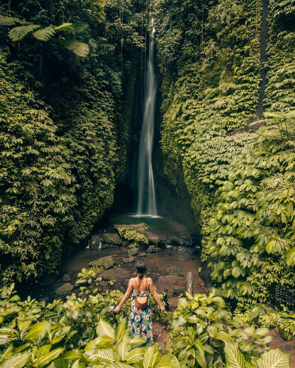 sayapbali's tweet photo. A dreamy waterfalls always take our breath away ๐
#sayapbali #bali #trip #balitour #balivacation #balitour #baliagoda #klook #kayak #baliadventure #adventureinbali #indonesia #ubudtrip #ubudtour #ubudvacation #exploreubud #exploreindonesia #explorebali #balihotel #balivilla https://t.co/ggcoOhKvUc