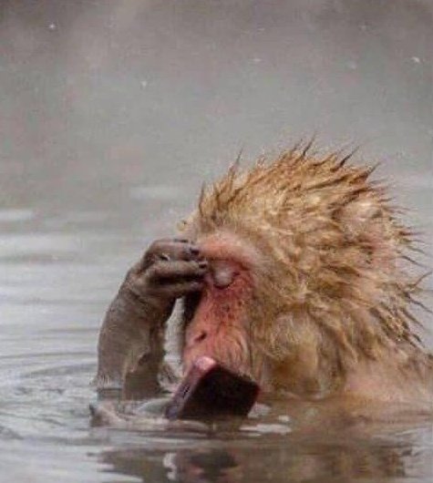TrustWallet's tweet photo. when you check your balances &amp; it's not looking good☹️ https://t.co/Bh1bN2RBfZ