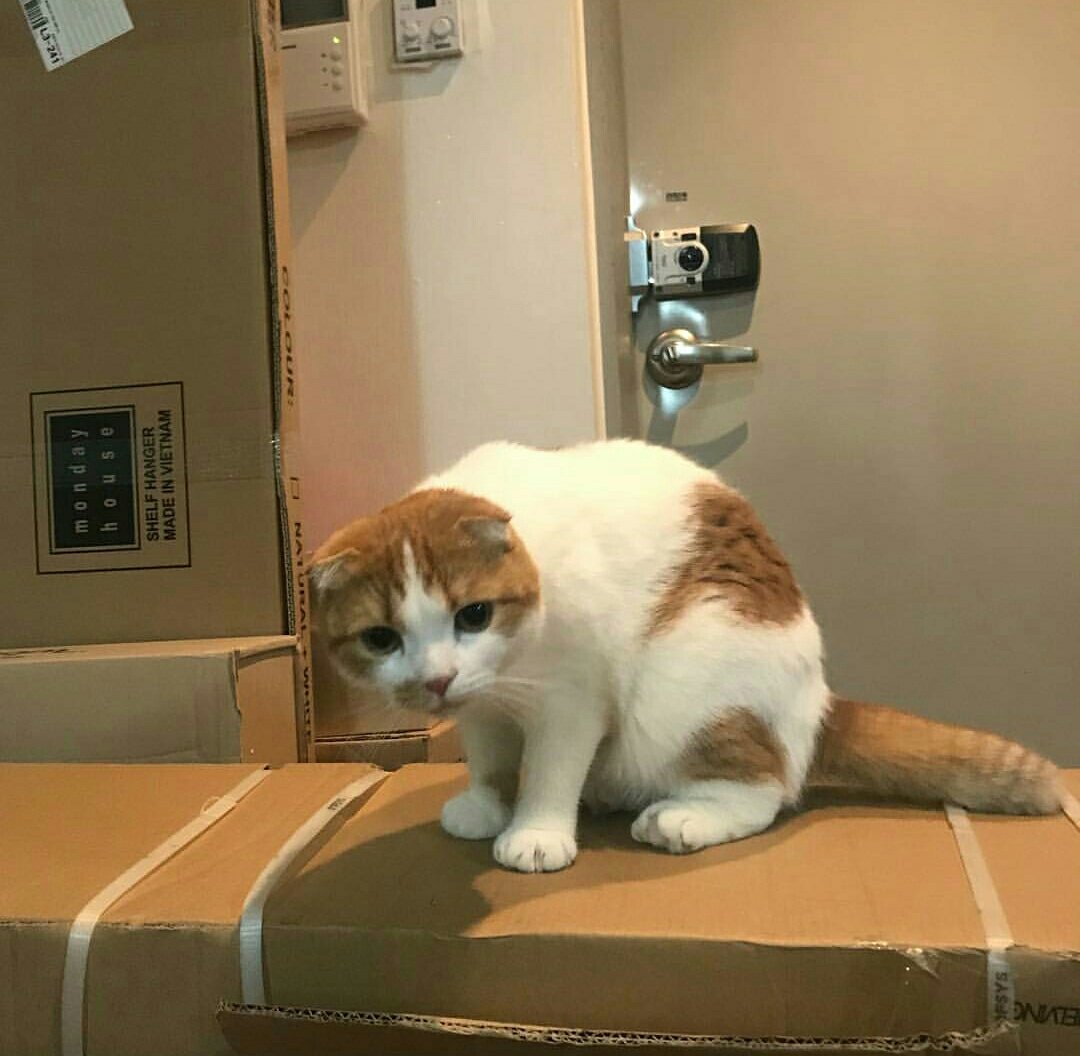 byulshyejin's tweet photo. just appreciating jung ggomo, the best boy in wheein's life https://t.co/MWBHBzWQQy