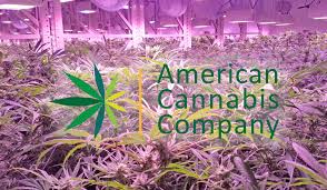 If you are a Marijuana Supporter we think the best way to support the industry is to buy some stock in a good Cannabis company.

The best buy in the space is:
AmericanCannabisCompany $AMMJ

at this price you can get a good position for very little money and the upside is $2.00