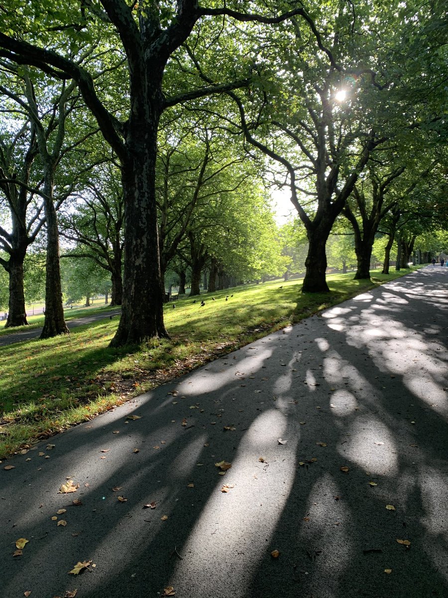 BakeronBusiness's tweet photo. You’ll hate me for saying this, but slight hint of #Autumn in the air today #Nottingham #ForestRec https://t.co/8EvqWg6E8x