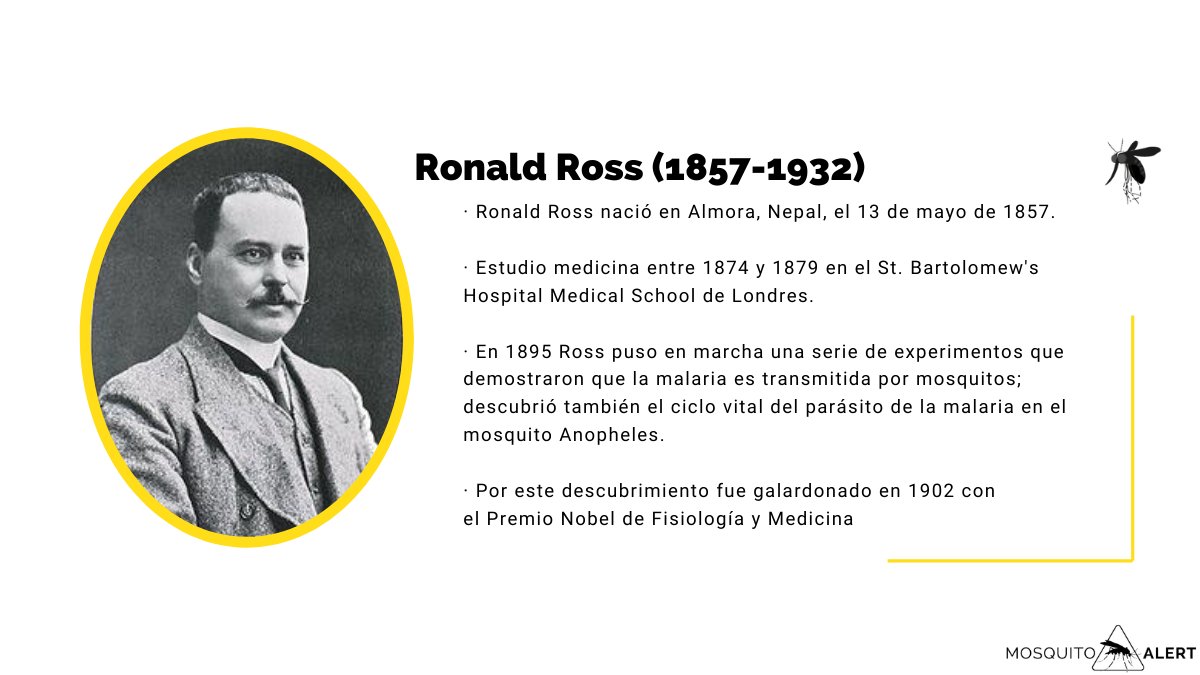 Mosquito_Alert's tweet image. Un descubrimiento que le valió en 1902 el #premioNobel de medicina y que sentó las bases para que científicos y científicas de todo el mundo pudieran comprender y controlar mejor esta enfermedad.

#vectormanagement #mosquitocontrol