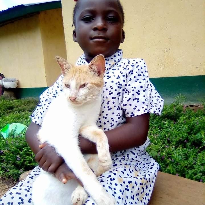 LiberiaAnimal's tweet photo. We help create an environment where animals and people co-exist with love and compassion. This is Musu and her lovely cat friend "Puss". According to Musu, Puss is the best friend she has and they are always together playing.
#HumaneEdcation #Education #Kindness #Compassion https://t.co/hXxVStaUUi