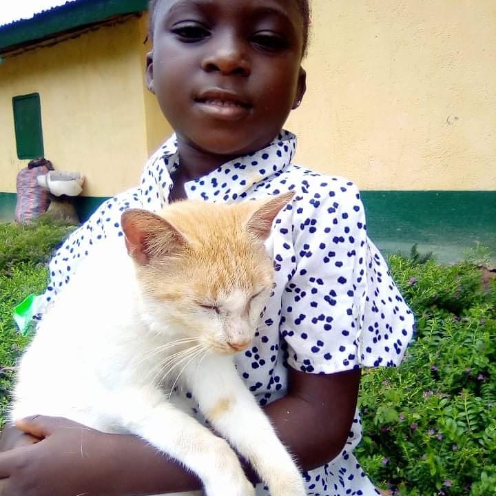 LiberiaAnimal's tweet photo. We help create an environment where animals and people co-exist with love and compassion. This is Musu and her lovely cat friend "Puss". According to Musu, Puss is the best friend she has and they are always together playing.
#HumaneEdcation #Education #Kindness #Compassion https://t.co/hXxVStaUUi