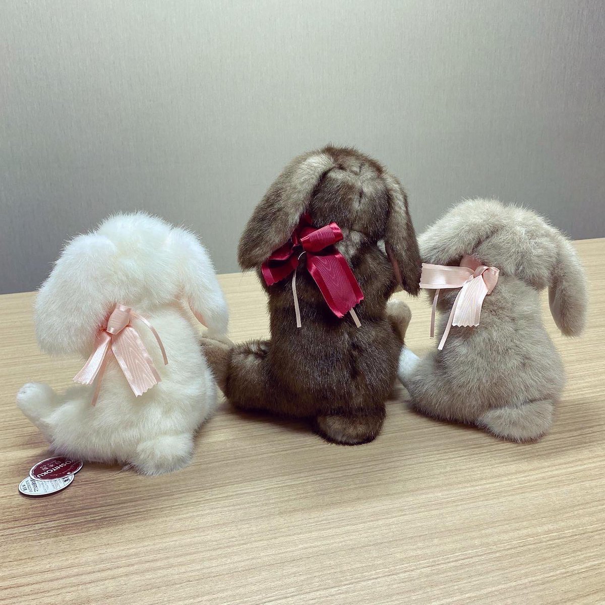 ながーいお耳が特徴のロップイヤーのぬいぐるみ🐰 首のリボンが