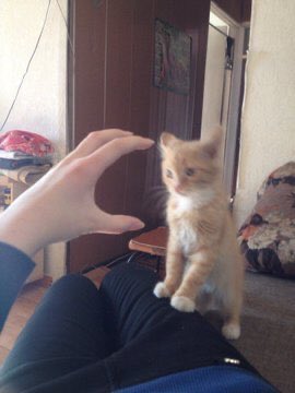 GangOfAnimals's tweet photo. https://t.co/s51dfC4Kxd