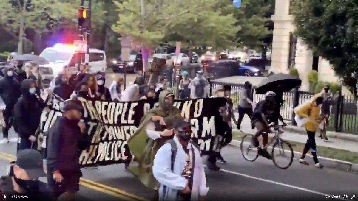 Protesters marching in Washington DC
