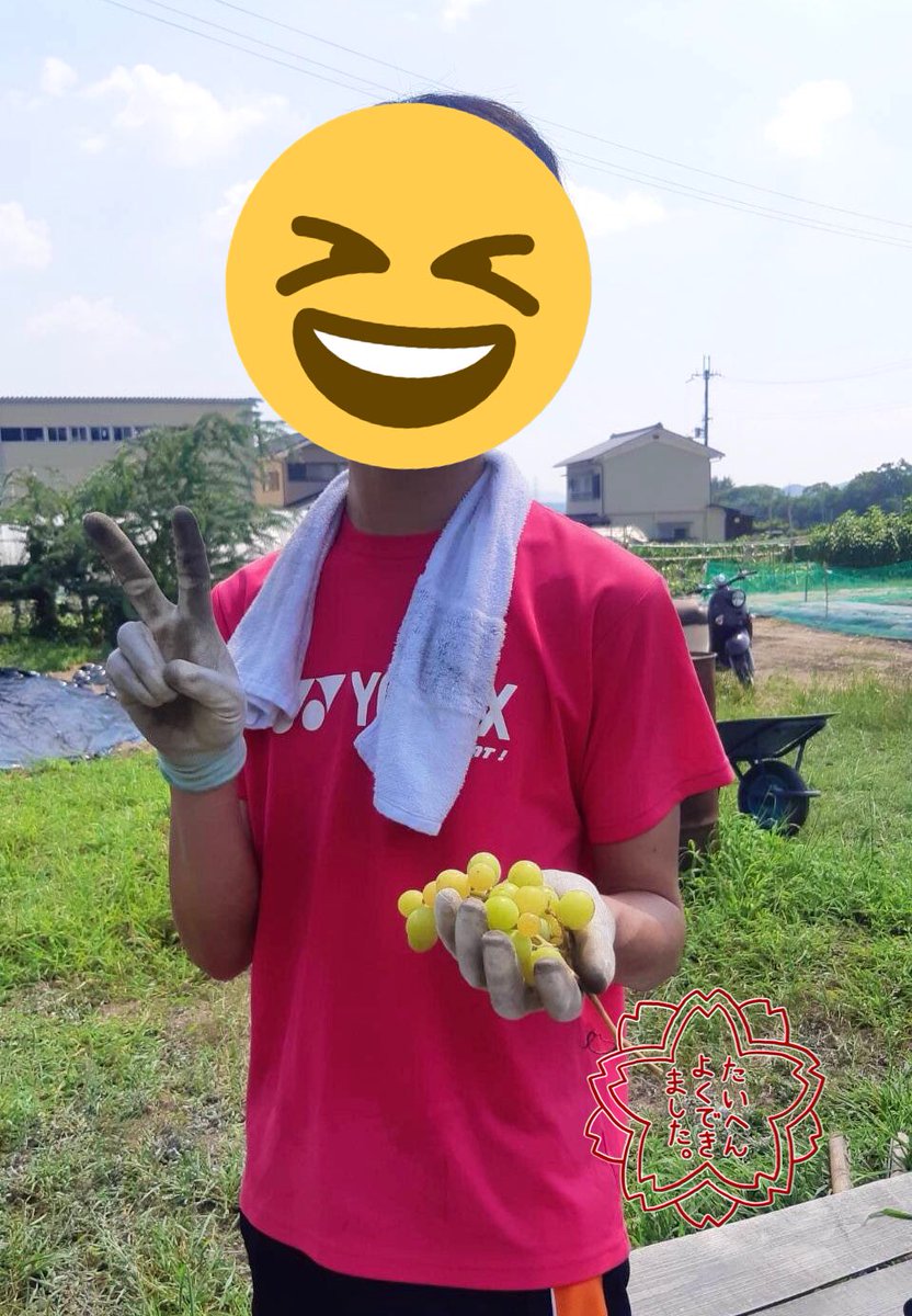 龍谷farm 自粛期間中ではありますが 少ないメンバーで草刈りをしております 水やりなどができない中でも 植物たちはすくすくと育っていました O マスカット 美味しかったです なかじー