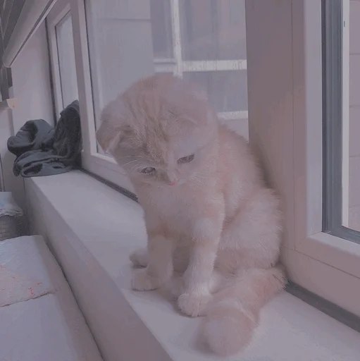 Kimyugye97's tweet photo. @dep_cnvs @Anna96723880 @GOT7Official @JacksonWang852 @marktuan این منم چش چرونی نکن :|

#APOLOGIZELYTA 
#50ChartFinal 
@GOT7Official https://t.co/cc1LmMTd1I