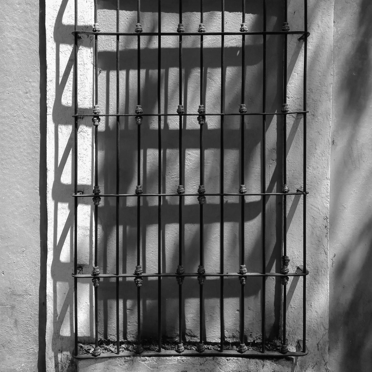 Ed_Hoover's tweet photo. "Vedo gigli appassire
a contatto della mia voce
macchiata di luce sanguigna,
e nella mia lirica canzone
indosso abiti da pagliaccio
impolverato. L’amore
vago e bello si è nascosto
sotto un ragno".
#FedericoGarciaLorca
#CanzoneMinore https://t.co/3T79w71xYX