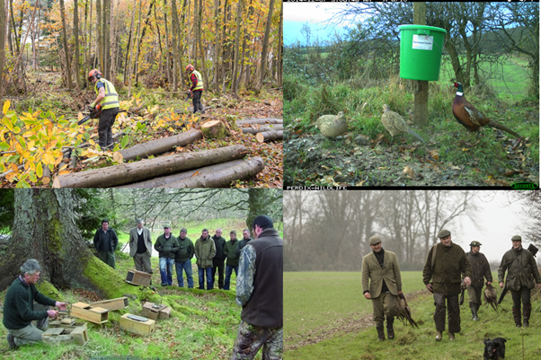 The management of released birds has ASSOCIATED EFFECTSSome of these are ecologically +ve: land management, habitat creation, legal pred control. Others are ambiguous – supp feeding may help overwrinter birds & rodent pests. Some are -ve – disturbance or shooting non-quarry spp