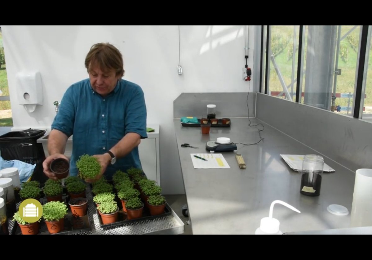 Best4Soil's tweet photo. A test to evaluate the compost quality is presented in a Best4soil tutorial video.
#soilhealth #compostquality #compost
https://t.co/SdIQnMZYsZ https://t.co/iFxwxbORxP