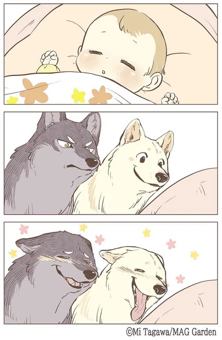 私も色んな狼描いてるから見てください?(犬も混じってるけど) 