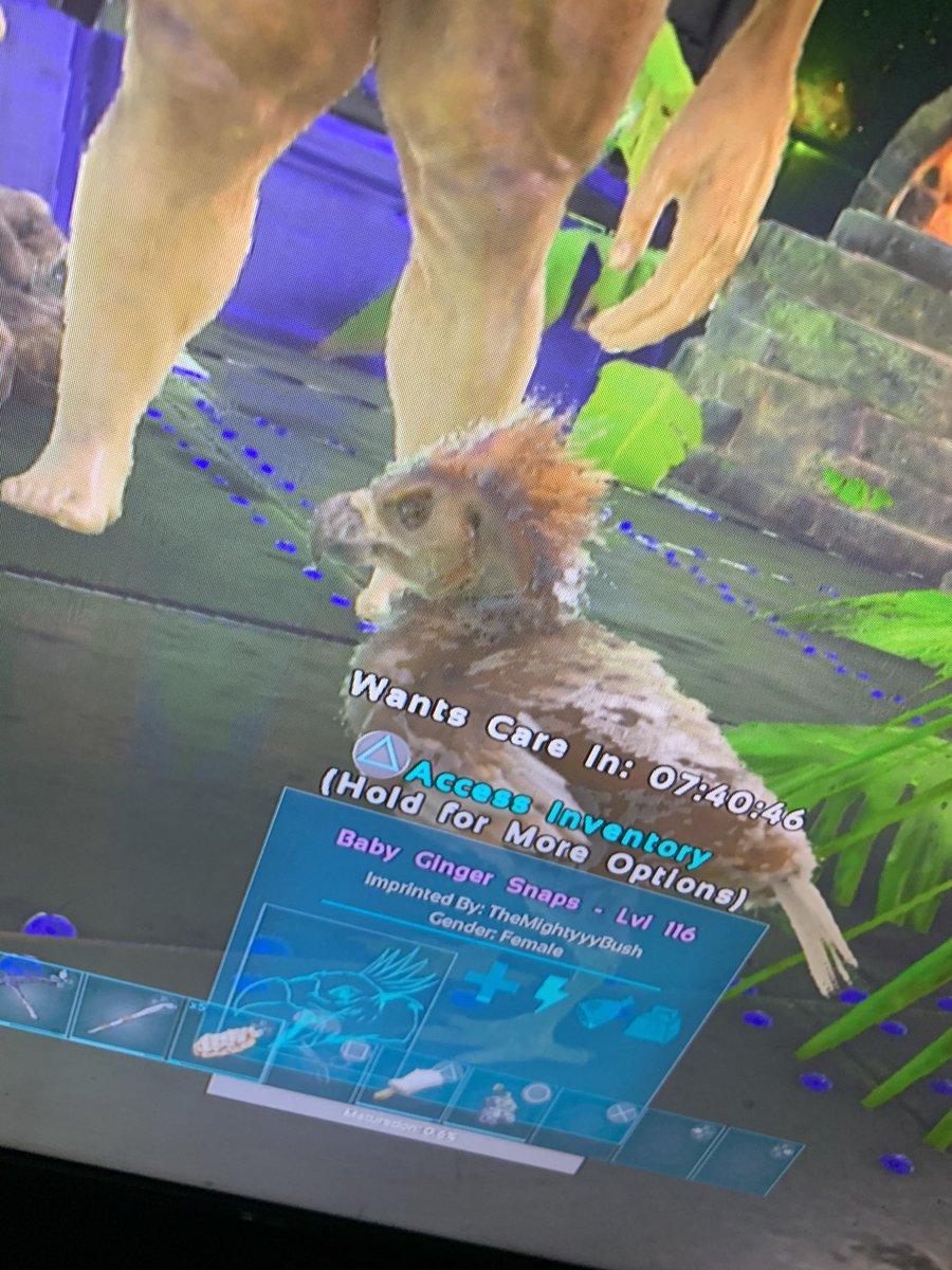 Lexxyyx's tweet photo. Tooo cute man 😍😍 #ark #ArkSurvivalEvolved https://t.co/NS1YBseNtA