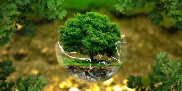 Beaboss_mag's tweet photo. #impact : ces entreprises qui changent le monde https://t.co/8GdjMQHTon
#RSE #environnement https://t.co/NYkKLthYfB