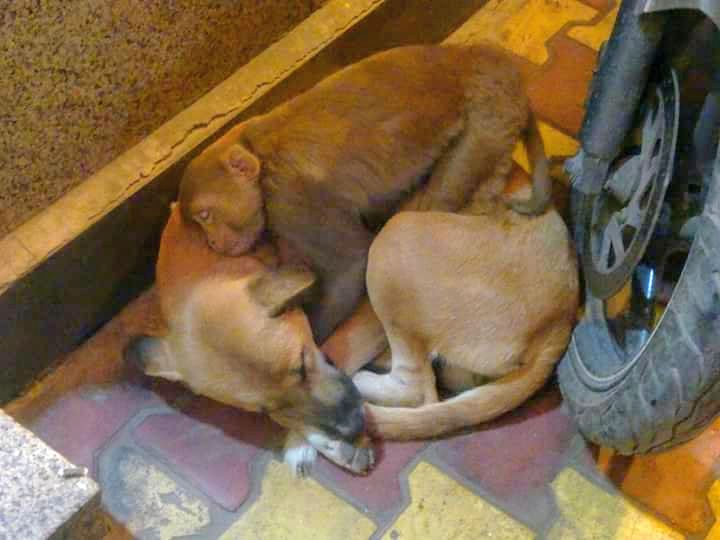 <a href="/nipunmarya/">Nipun Marya</a> The only true borders lie between day and night, between life and death, between hope and loss.

#WorldPhotographyDay

<a href="/VHetal/">Hetal</a> 
<a href="/varun4yaars/">Varun Vasisht</a> 
<a href="/sanchitabhartiy/">Sanchita Bhartiya</a> 
<a href="/ramyavellanki/">rαmÿa❤️</a> 
<a href="/tweetysweetie_2/">Nidhi</a> 
<a href="/NishantJain_88/">Nishant Jain</a> 
<a href="/19nsverma/">Nisha verma</a> 
<a href="/fashionistaTS/">Tanya Setia</a> 
<a href="/porwal_shilpi/">Shilpi Porwal</a> 
<a href="/krishna1334/">Krishna Kanth Reddy</a>