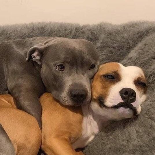 selamat tanggal 20 lagiii kok lo betah bgt sih sm gue