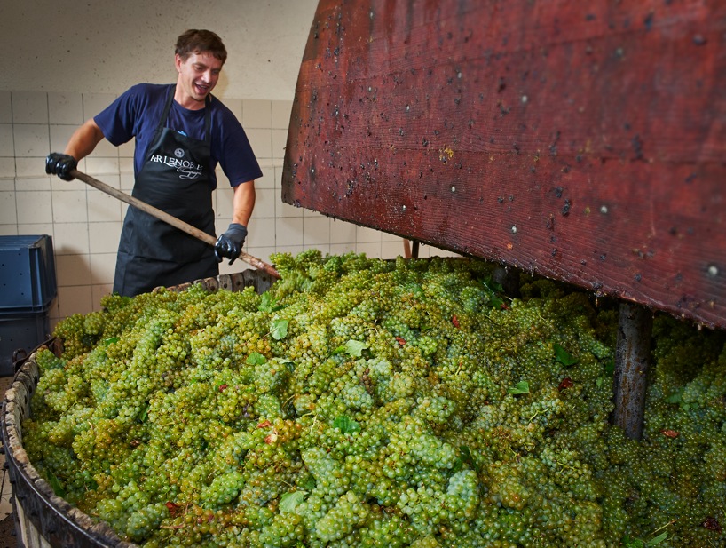 Ellis Wines (@elliswines) on Twitter photo Good luck to <a href="/arlenoble/">Champagne AR Lenoble</a> with their harvest beginning this weekend, we can't wait to try the wines. It's a special year for them as they celebrate their 100th harvest this year! elliswines.co.uk/node/2487 Good luck to <a href="/arlenoble/">Champagne AR Lenoble</a> with their harvest beginning this weekend, we can't wait to try the wines. It's a special year for them as they celebrate their 100th harvest this year! elliswines.co.uk/node/2487