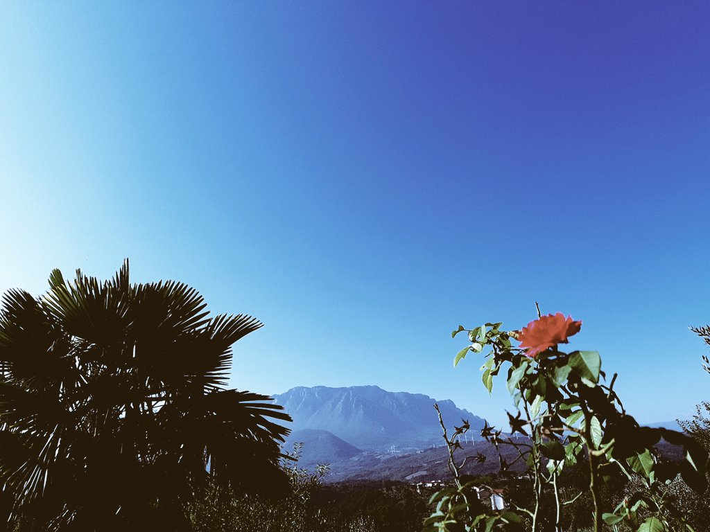 Tutta la mia vita
è una storia d’amore con la mia anima,
con la città in cui vivo,
con l’ albero al bordo della strada,
con l’aria.
E sono infinitamente felice.

#Citando #MarinaCvetaeva a #CasaLettori