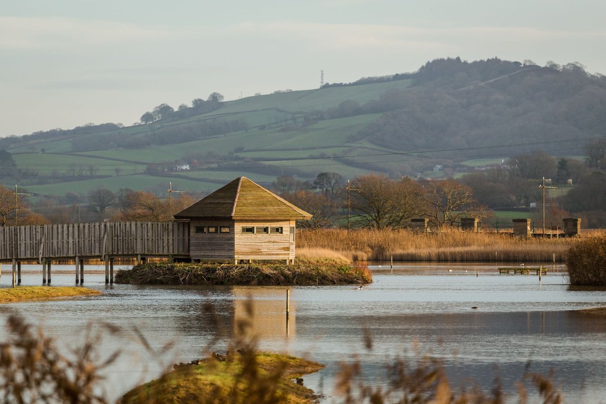 Natural Seaton Virtual BioBlitz, 21-22 August 2020
Take part in the Natural Seaton Virtual BioBlitz - a collaborative race against time to find and record as many plant and animal species as possible in 48 hours.  Find out more at soc.devon.cc/NatSeatonBioBl… . #NatSeatonBioBlitz