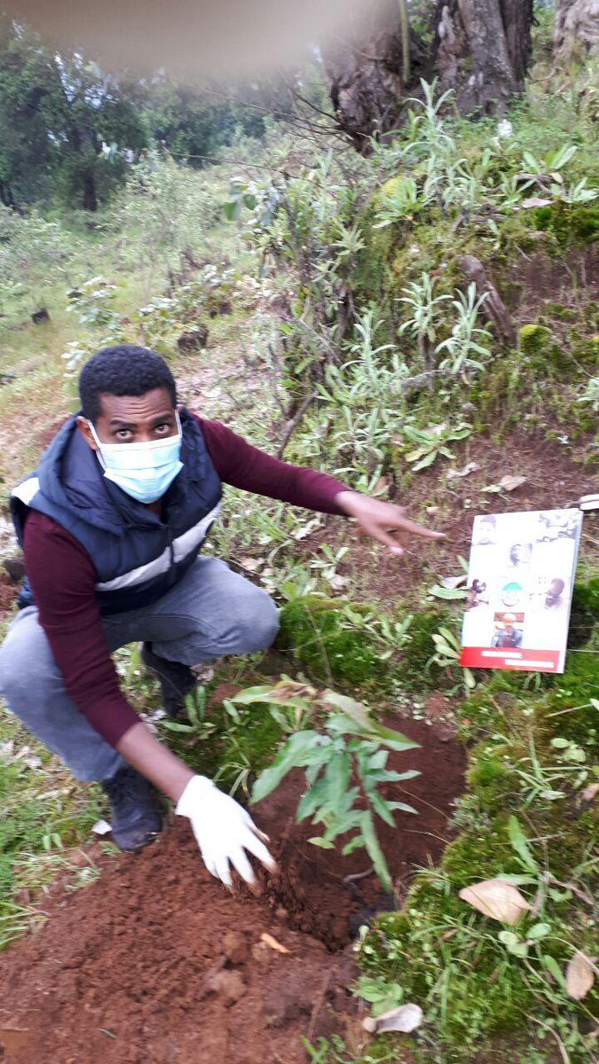 FoundationMeles's tweet photo. መዜፋ የመለስ ዜናዊን የ8ኛ ዓ���ት መታሰቢያ ምክንያት በማድረግ ጉለሌ በሚገኘው የመለስ ዜናዊ ���ታሰቢያ ፓርክ  የችግኝ ተከላ መርሃ-ግብር አከናወነ፡፡
የመረሃ ግብሩን ድባብ በምስል እንድትመለከቱ እንጋብዛለን፡- https://t.co/qllgTubznU