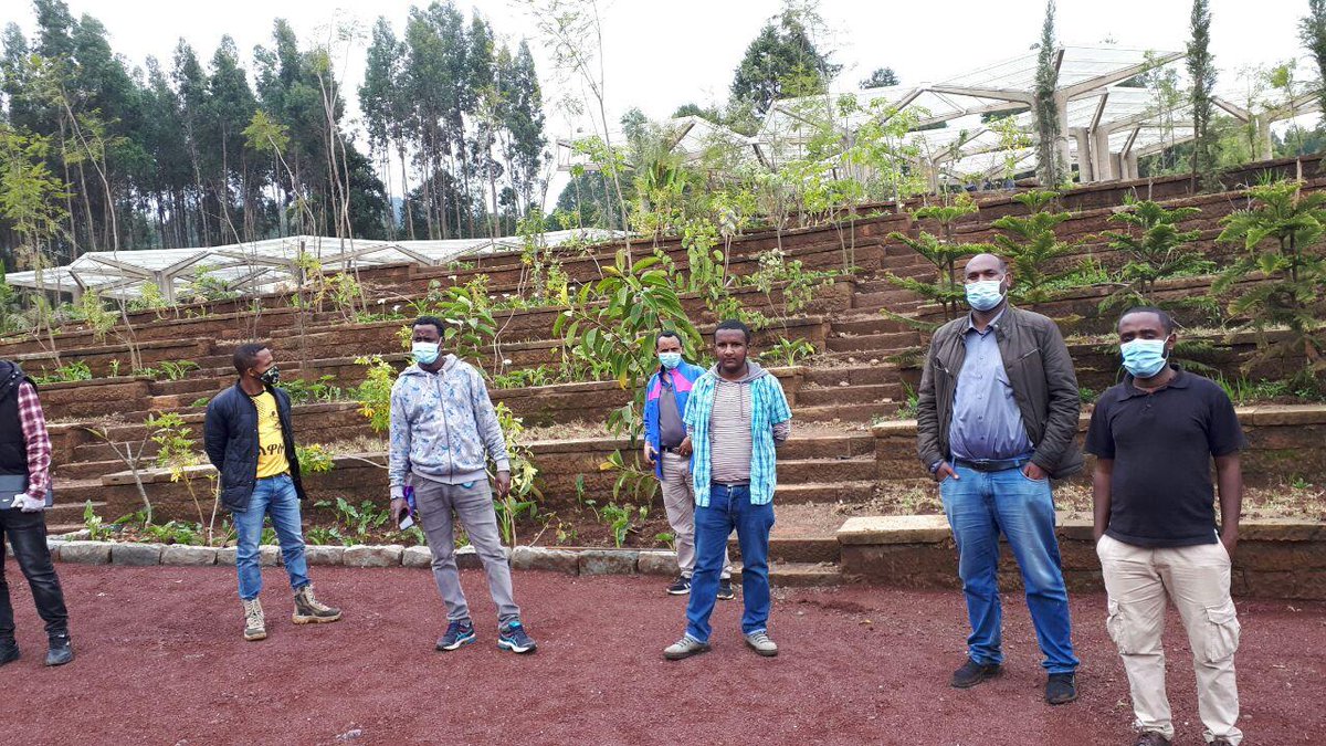 FoundationMeles's tweet photo. መዜፋ የመለስ ዜናዊን የ8ኛ ዓ���ት መታሰቢያ ምክንያት በማድረግ ጉለሌ በሚገኘው የመለስ ዜናዊ ���ታሰቢያ ፓርክ  የችግኝ ተከላ መርሃ-ግብር አከናወነ፡፡
የመረሃ ግብሩን ድባብ በምስል እንድትመለከቱ እንጋብዛለን፡- https://t.co/qllgTubznU