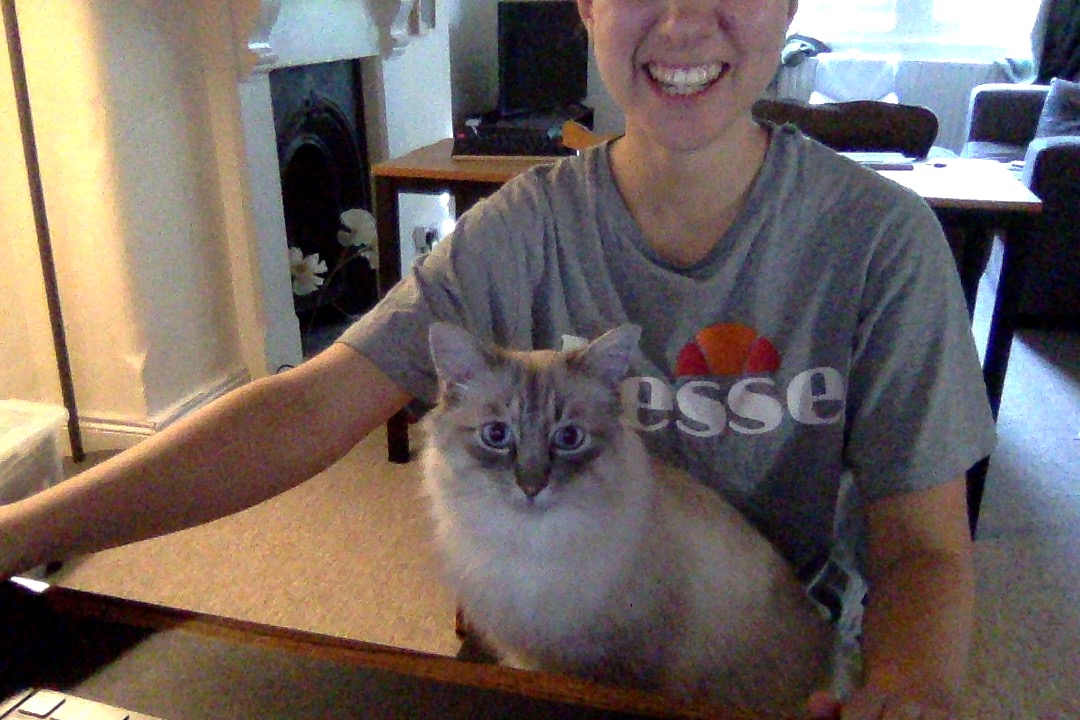 HannahMBuckland's tweet photo. I know we've all been working at home for months now, but the excitement of my cat joining me to code up a nice plot still hasn't worn off. It also turns out he loves seeing himself via iPhoto 😂 #codingcats #workingfromhome https://t.co/jwxf6TNxno